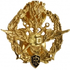 Distintivi Merito